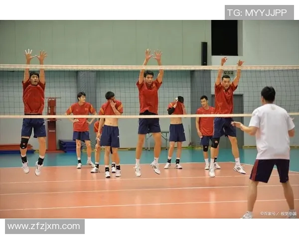 广州排球队的精神之旅：探寻排球背后的团队意识与文化传承